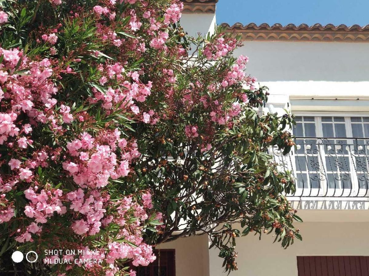 Appartement Les lauriers roses à Narbonne Extérieur photo